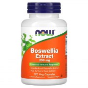 Заказать NOW Boswellia Extract 250 мг 120 капс