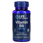 Заказать Life Extension Vitamin B6 250 мг 100 вег капс