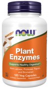 Заказать NOW Plant Enzymes 120 вег капс